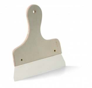 Falispatulya Plano (lepke)